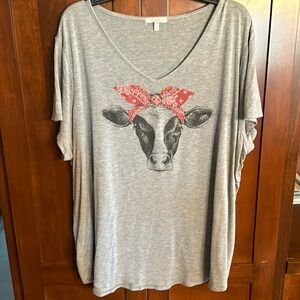 Maurices two XL, gray short sleeve T-shirt. Cute design on the front.
